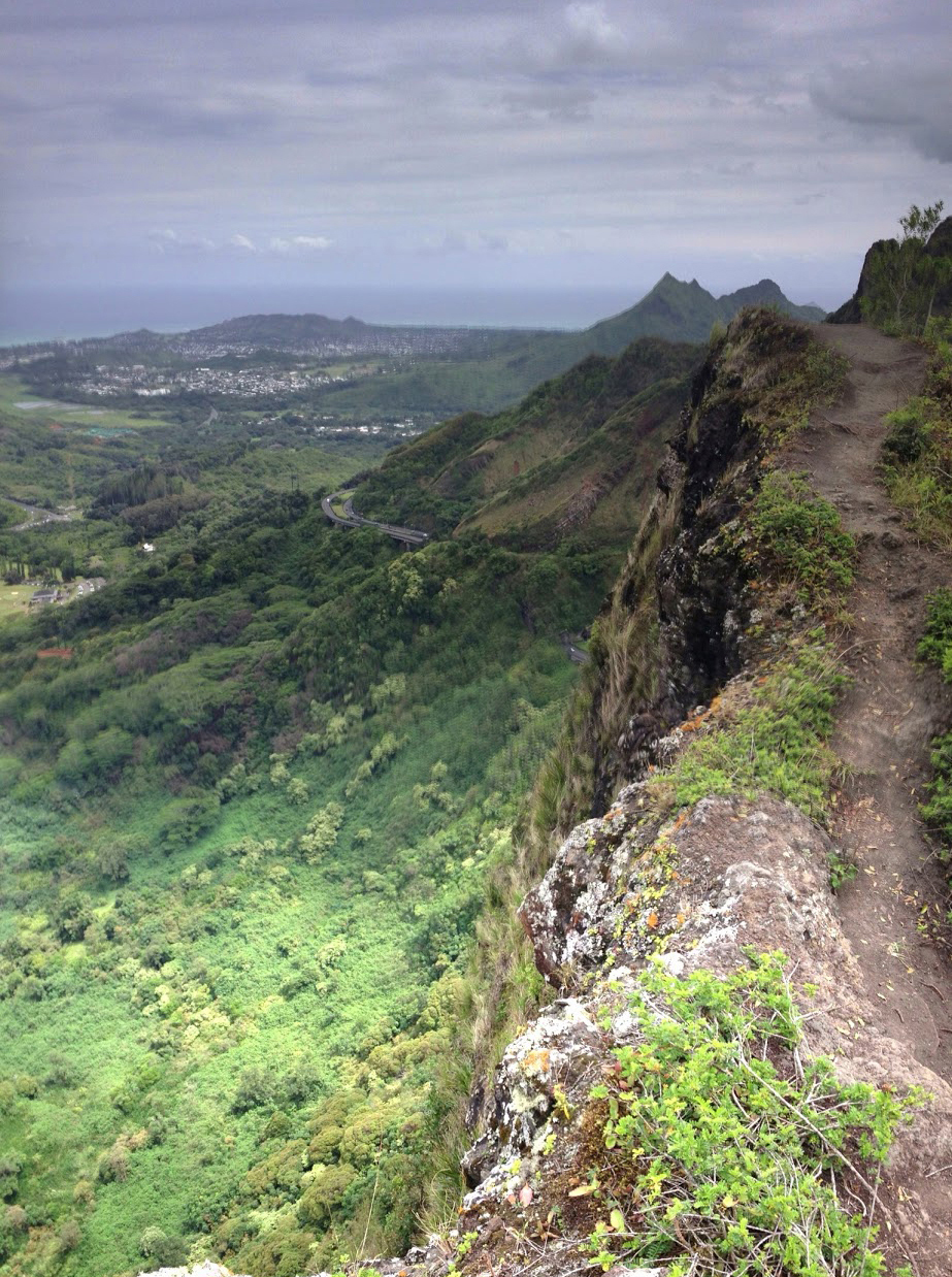 [Nuʻuanu Pali trail] Photo by Aaron A. Gould.