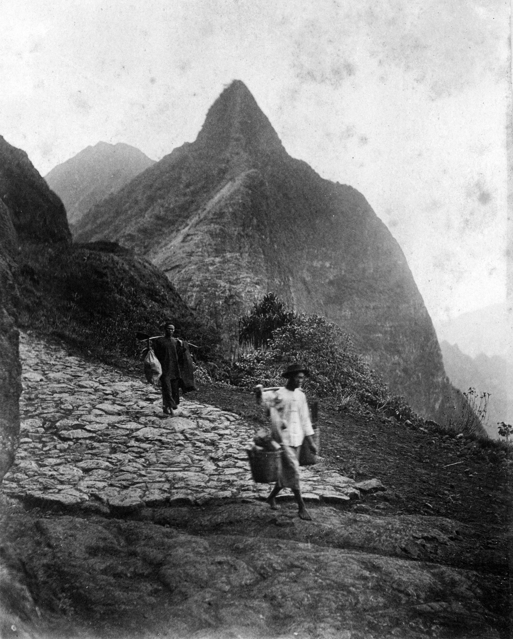 [Men with carrying poles] Walking over Nuʻuanu Pali Road to Kailua; Honolulu, Hawaiʻi, 1886. Photo by Alfred Mitchell.