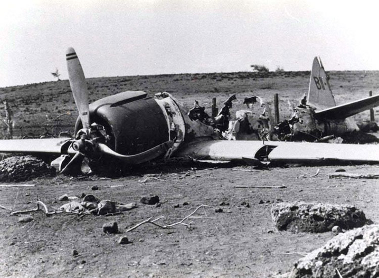 [Wrecked Japanese aircraft on Niʻihau] Photo by James Lansdale, US Army.