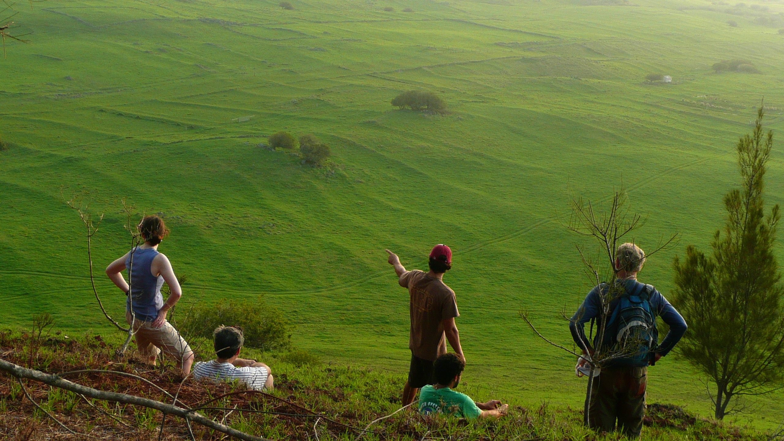 [Kohala field system] Photo by Noa Kekuewa Lincoln.