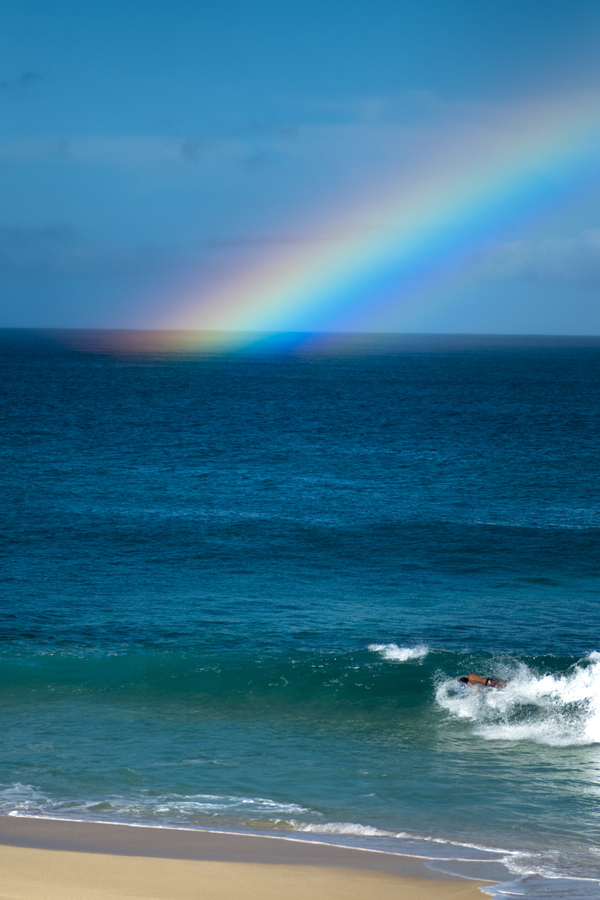 [Rainbow] Photo by Ruben Carillo.