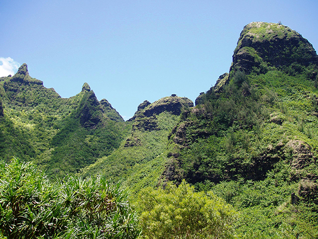 [Makana Mountain Ridge] Viewed from Limahuli Garden and Preserve, Kauaʻi. Photo by Daderot.