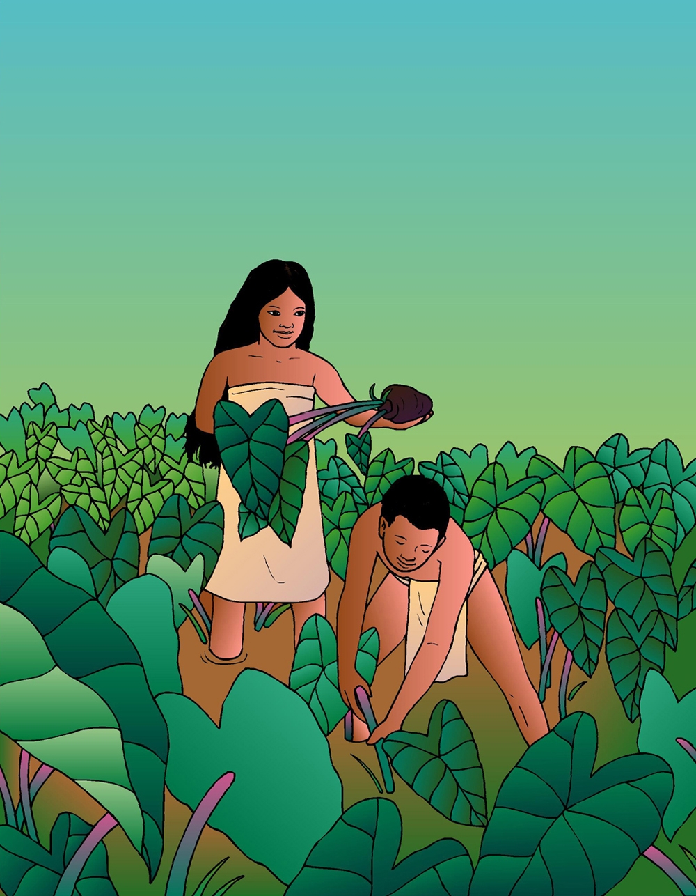 [Harvesting kalo] Artwork by R. Y. Racoma.