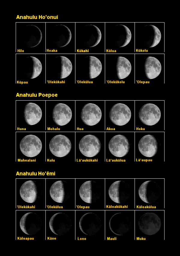 [Moon phases] By Sam Gon.
