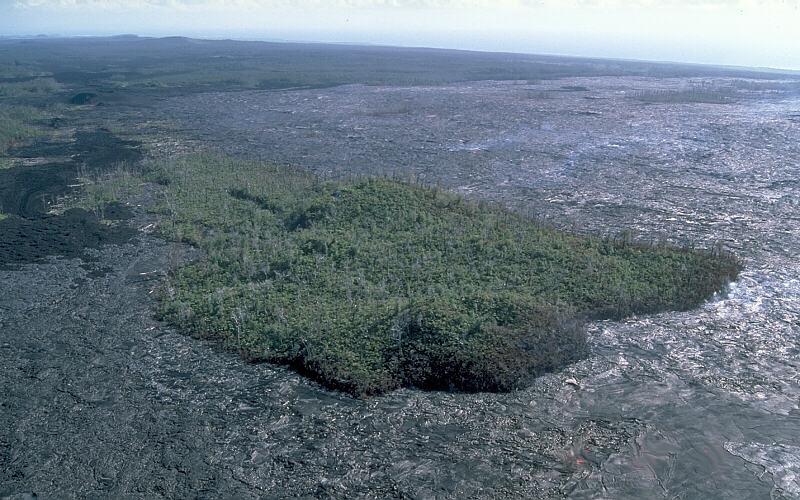 [Kīpuka] Kīpuka formed during Puʻu ʻOʻo-Kupaianaha eruption. Photo by J. D. Griggs.